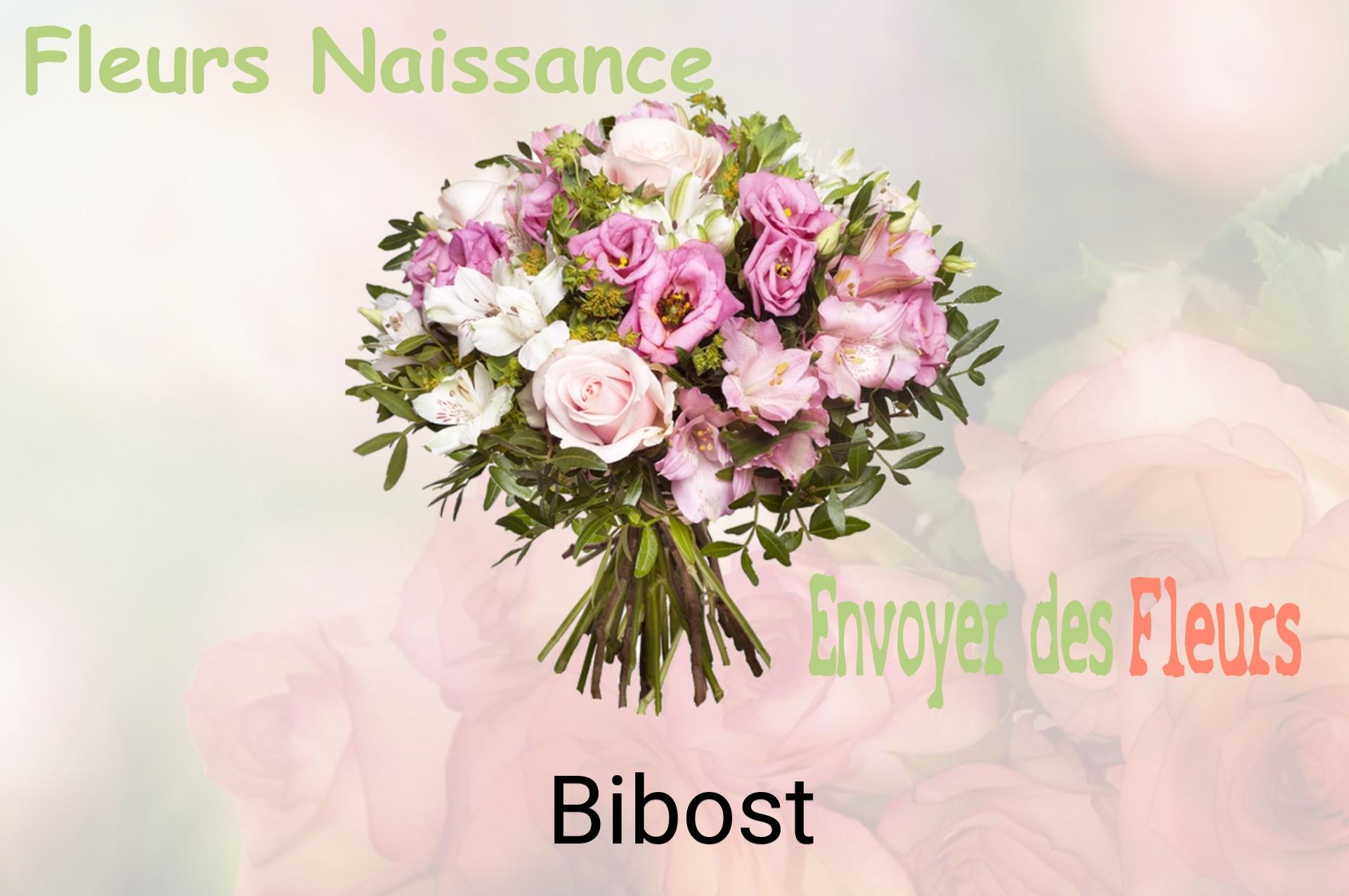 Bouquet de fleurs de naissance livré à Bibost